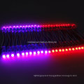 Ws2811 5050SMD 90LED/M RGB Digital LED Strip